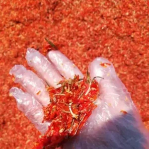 تفاله (پودر) گوجه فرنگی کهن تجارت