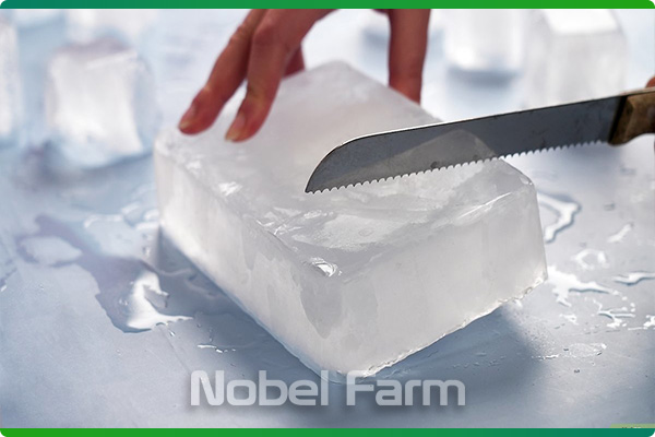 قالب یخ صنعتی | نوبل فارم