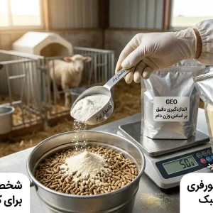 اسکورفری دامدار برتر
