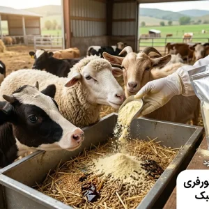 اسکورفری دامدار برتر