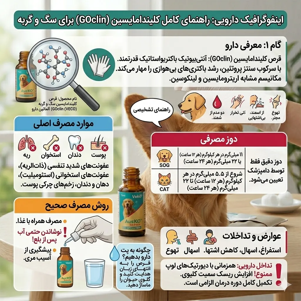 قرص کلیندامایسین سگ و گربه GOclin (VECO) آلماتین دارو 1 اینفوگرافیک قرص کلیندامایسین سگ و گربه GOclin (VECO) آلماتین دارو