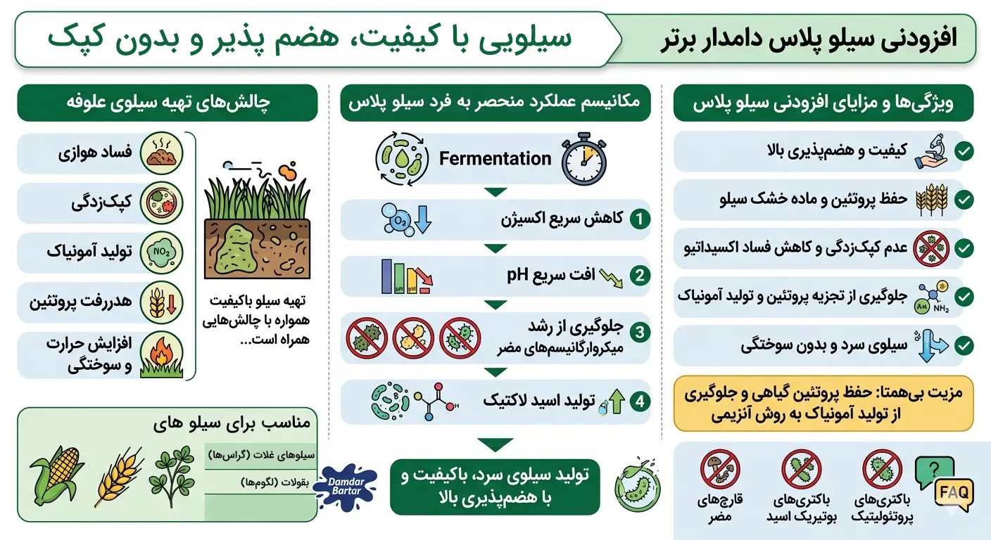 افزودنی سیلو پلاس دامدار برتر 1 اینفوگرافیک افزودنی سیلو پلاس دامدار برتر