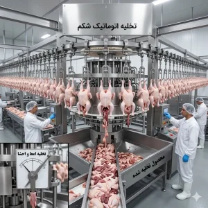 نحوه استفاده تخلیه اتوماتیک شکم
