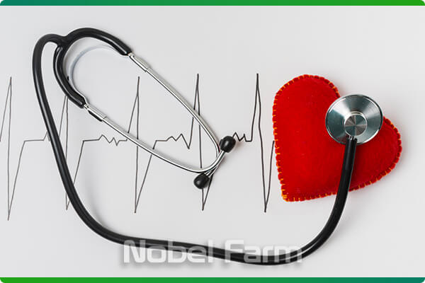 بیماری قلبی شایع در حیوانات خانگی | نوبل فارم
