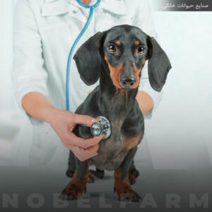 بیماری قلبی در حیوانات خانگی