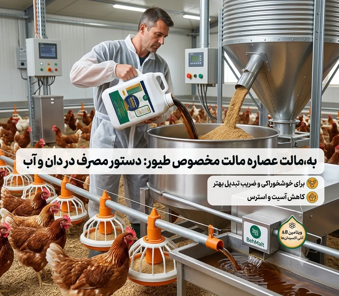 کاربرد و نحوه استفاده عصاره مالت مخصوص طیور