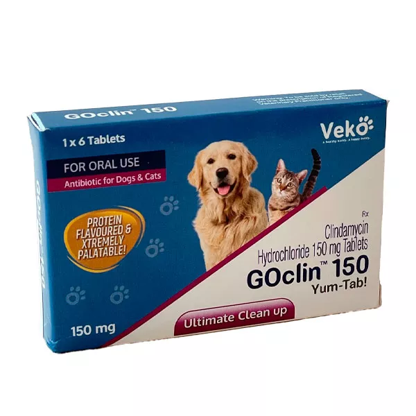 قرص کلیندامایسین سگ و گربه GOclin (VECO) آلماتین دارو