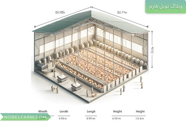بهترین ابعاد سالن مرغداری گوشتی