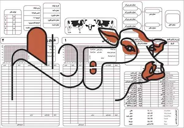 کارت شناسایی گاو 1