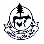 مکمل طلایی نایینی