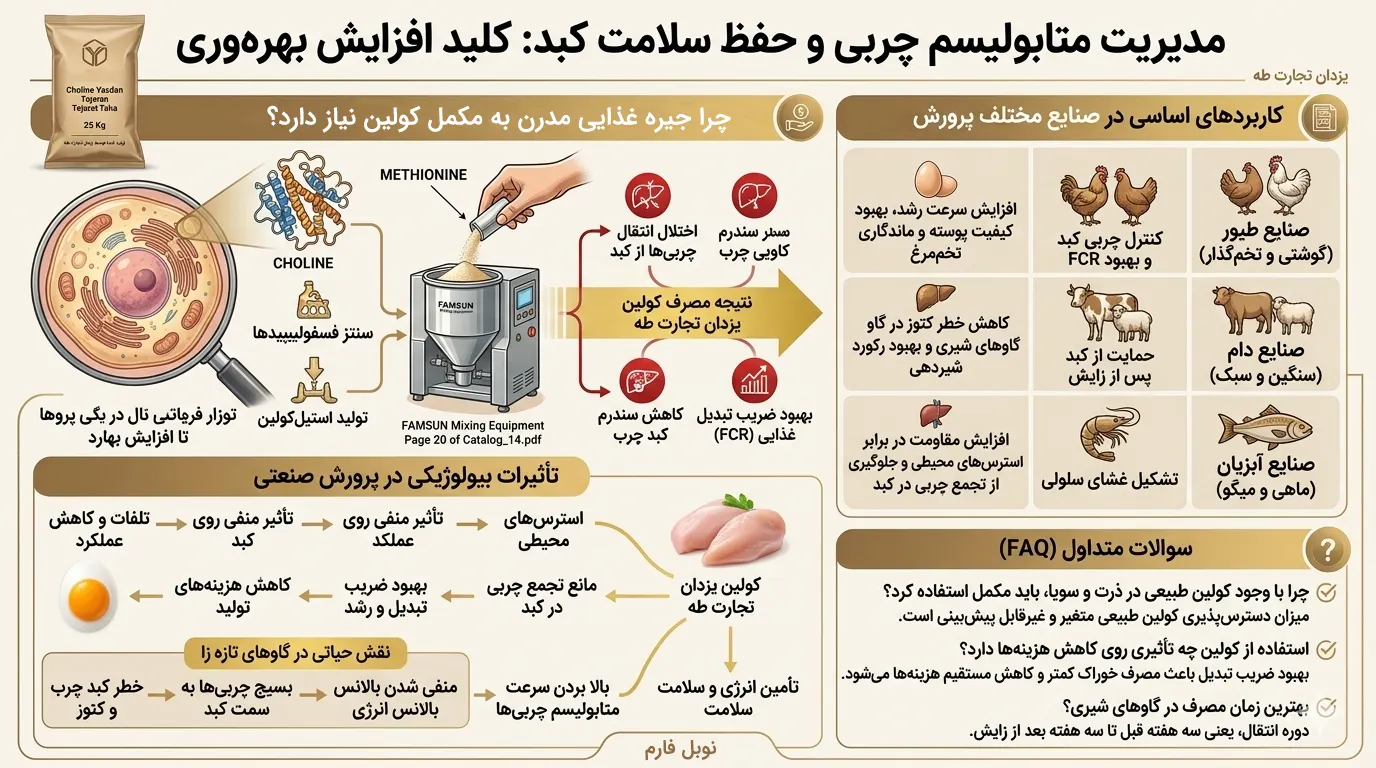 اینفوگرافیک کولین یزدان تجارت طه