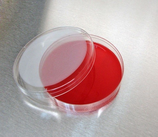 BLOOD محیط کشت بلاد آگار آتیه سلامت