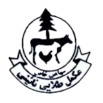 نایینی لوگو