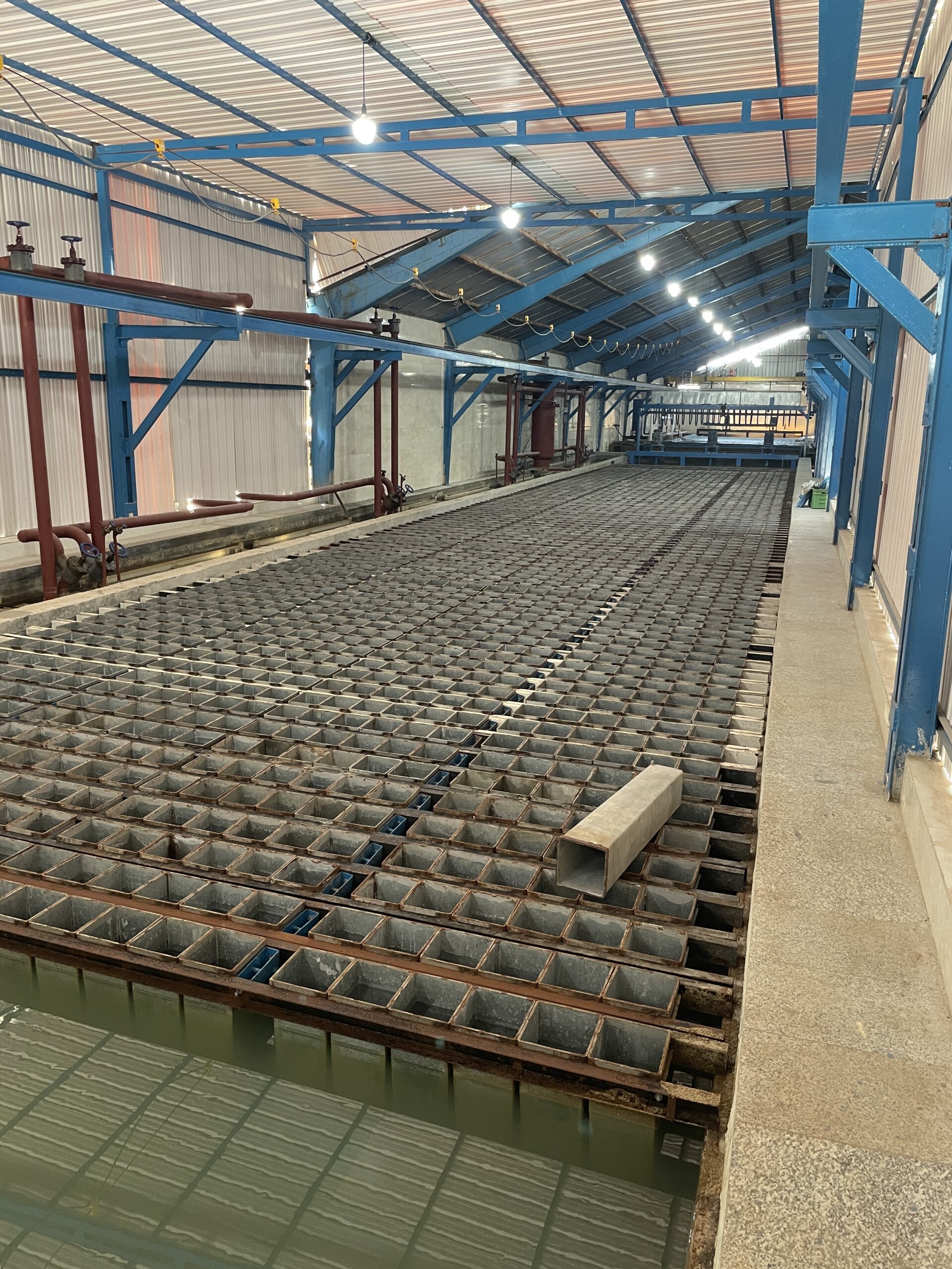 IMG_8596 IMG 8596 scaled