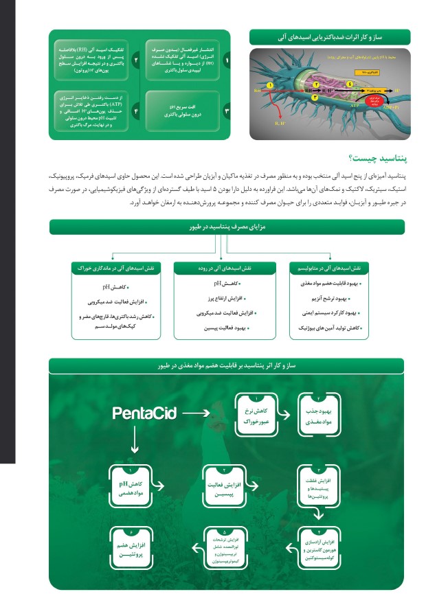 مشخصات اسیدی فایر (پنتاسید)