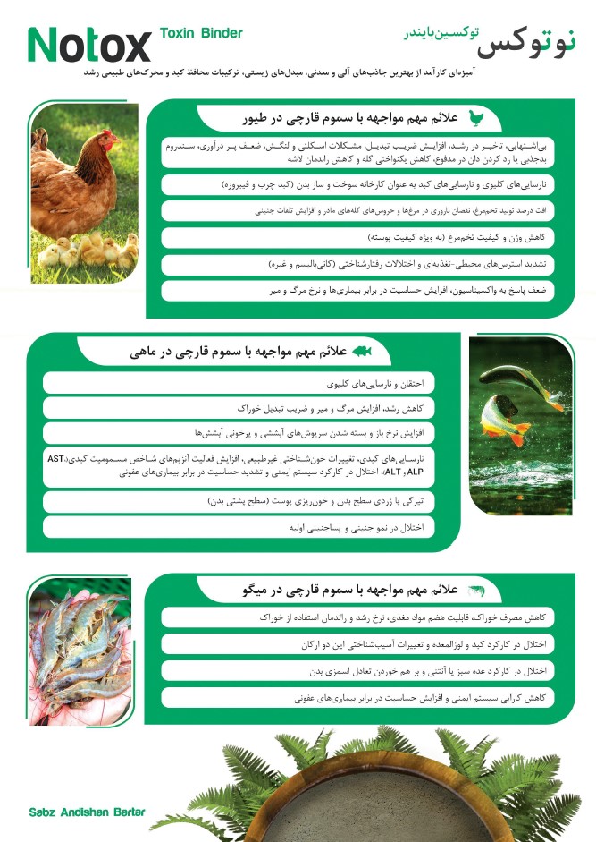 توکسین بایندر (نوتوکس) دام طیور و آبزیان سبز اندیشان برتر