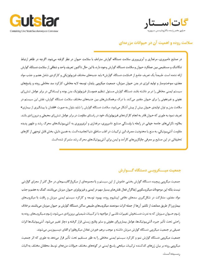مشخصات گات استار