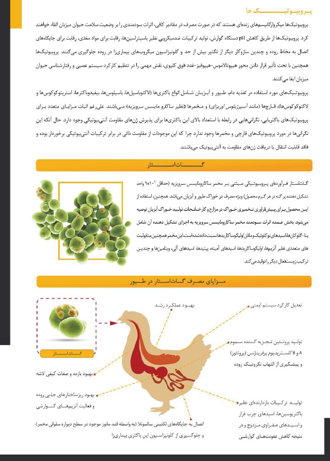 مشخصات گات استار