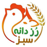 رز دانه سبز