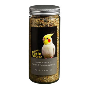 خوراک ویژه عروس هلندی یکتادانه