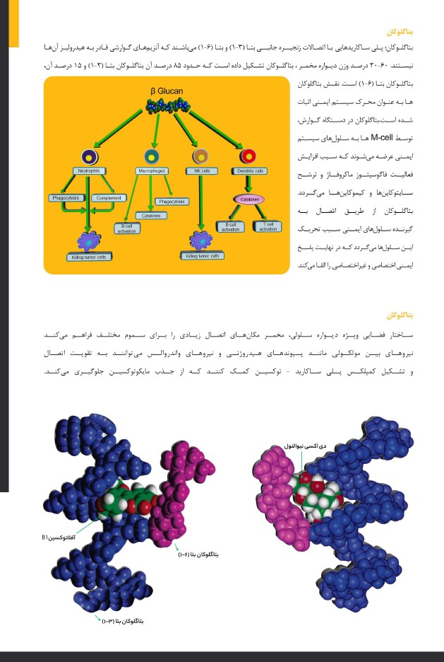 مشخصات کارنوسل