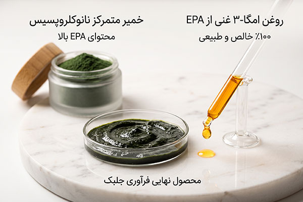 خمیر-تغلیظ‌شده-جلبک-نانوکلروپسیس-و-روغن-طلایی-استخراج‌شده-EPA-در-کنار-پودر-جلبک