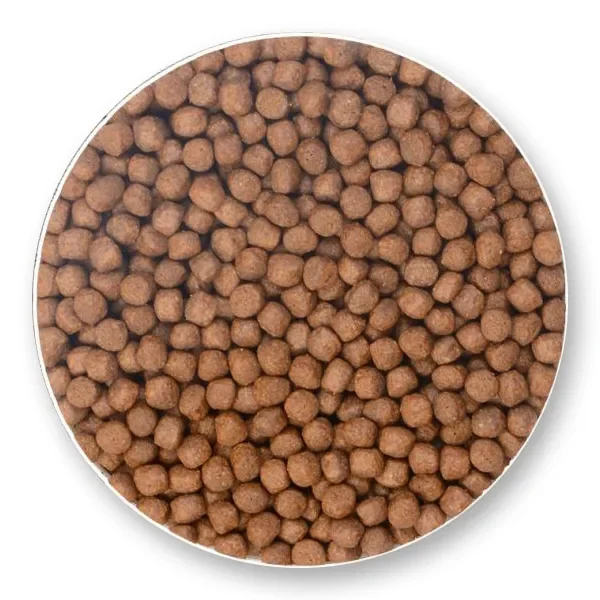 خوراک ماهی قزل آلا بهدان