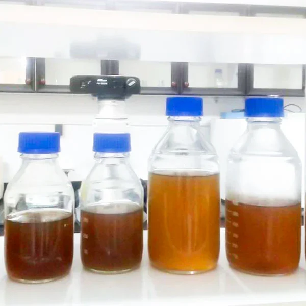 جلبک-کیتوسروس