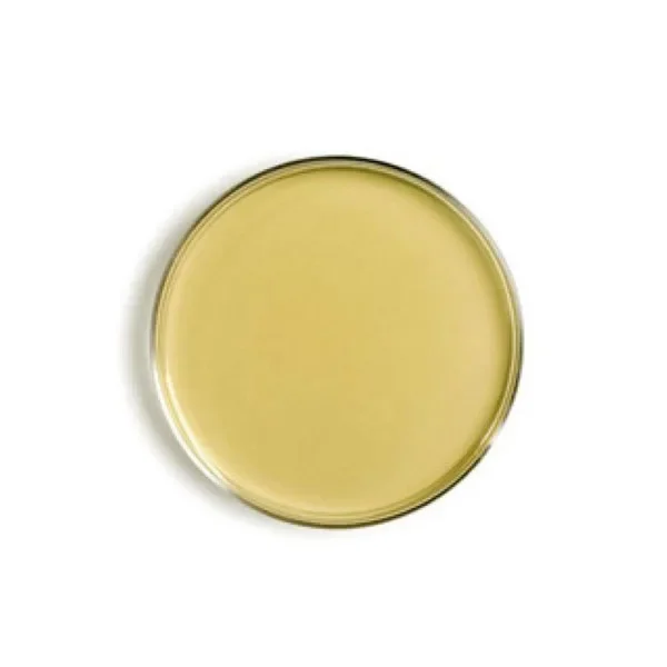 محیط-کشت-سابرو-دکستروز