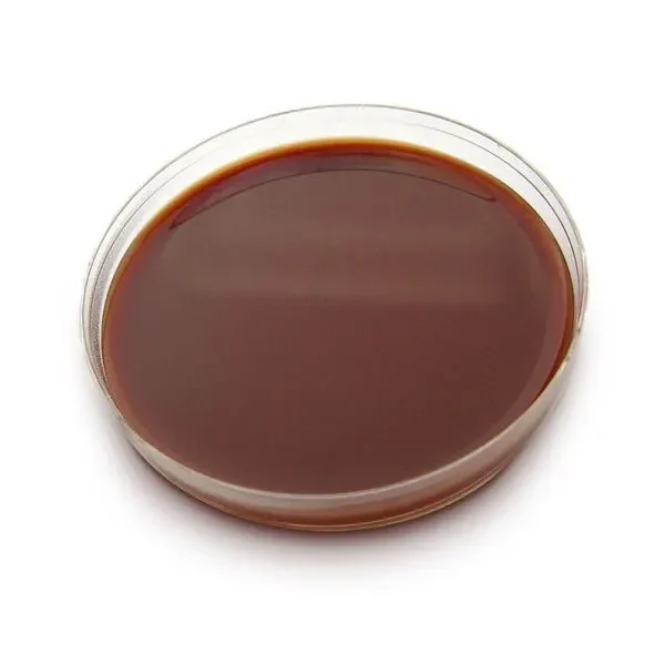 محیط-کشت-شکلات-آگار