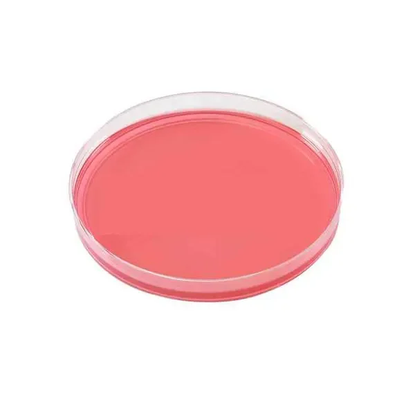 محیط-کشت-مانیتول