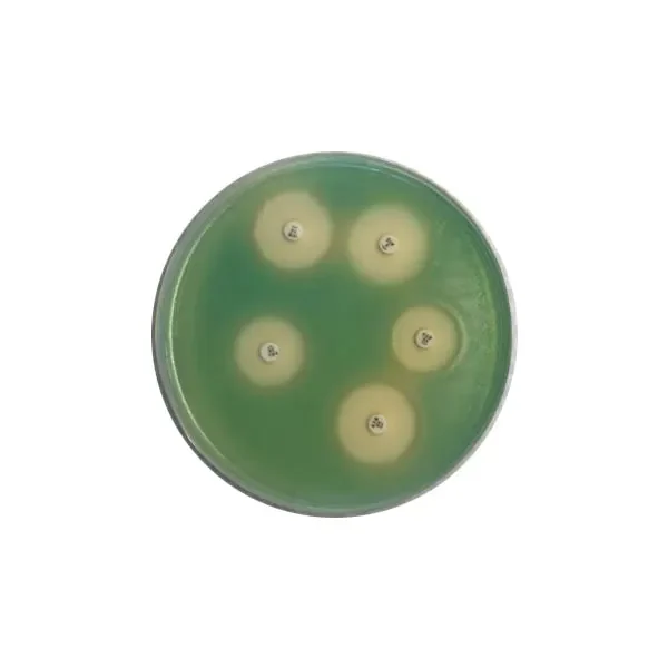 محیط-کشت-مولر-هینتون